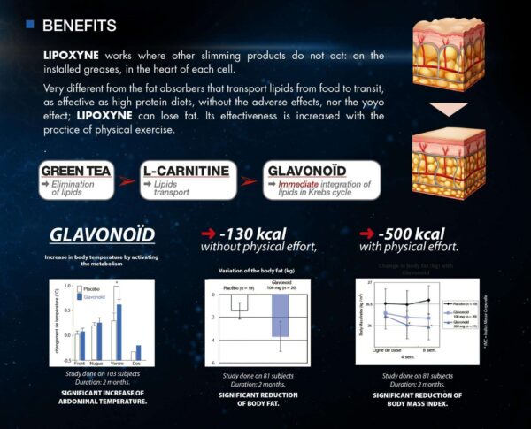 Lipoxyne-Fat Burner - Image 3