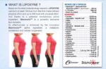 Lipoxyne-Fat Burner - Image 2